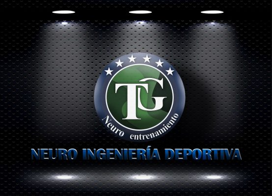 Logo TG Metalico